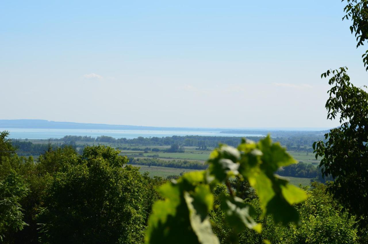Grand Cru 3. Vendeghaz Villa Hegymagas Luaran gambar