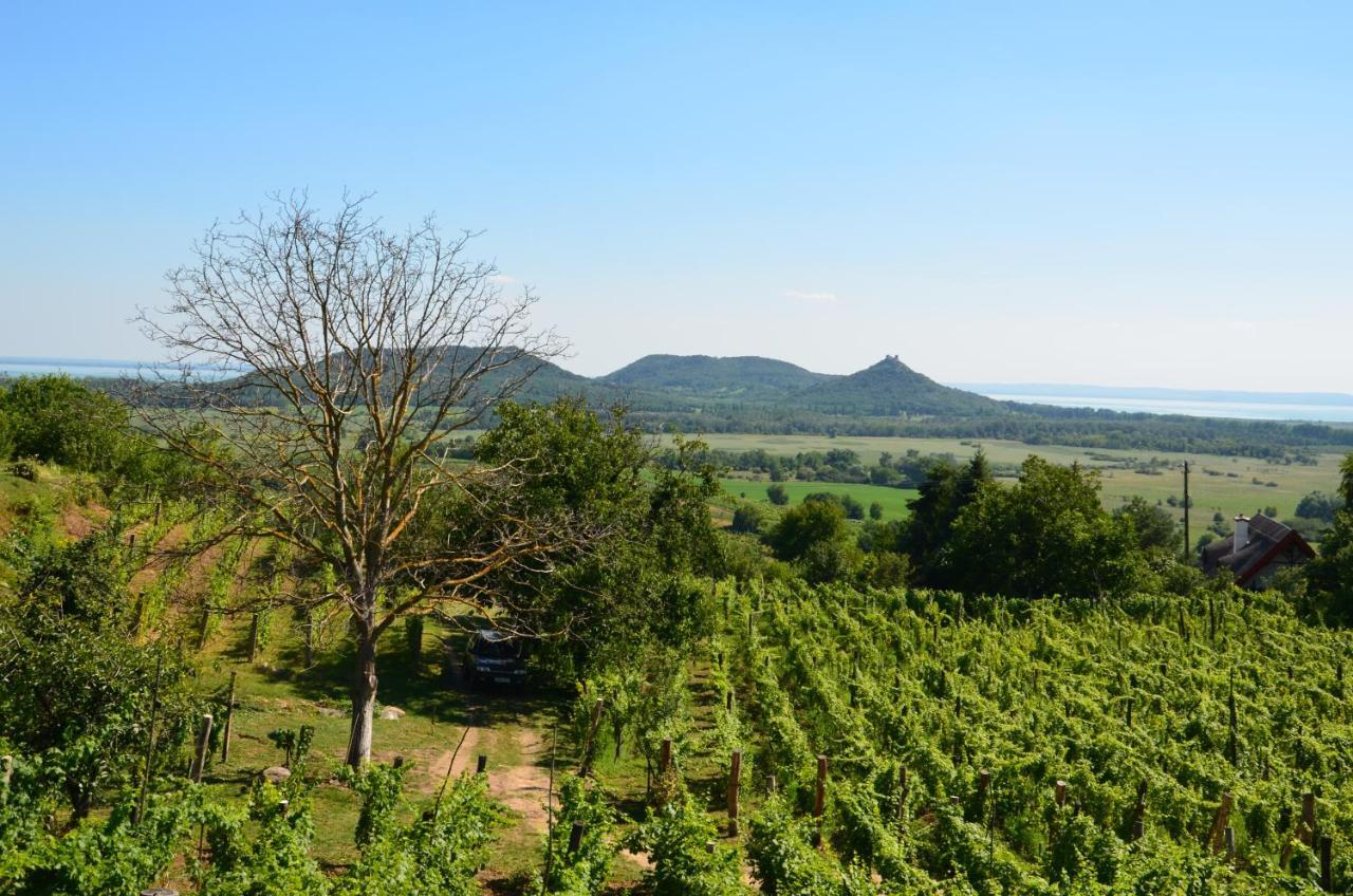 Grand Cru 3. Vendeghaz Villa Hegymagas Luaran gambar
