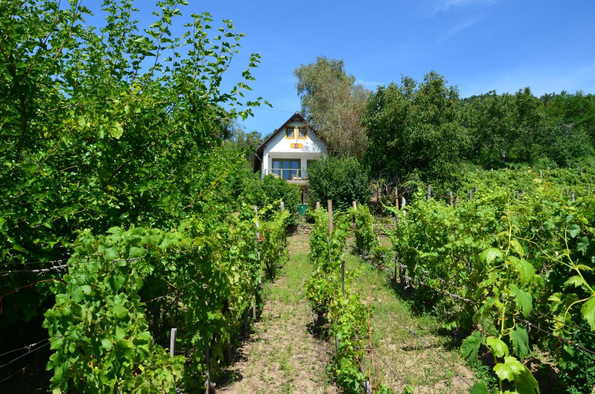 Grand Cru 3. Vendeghaz Villa Hegymagas Luaran gambar